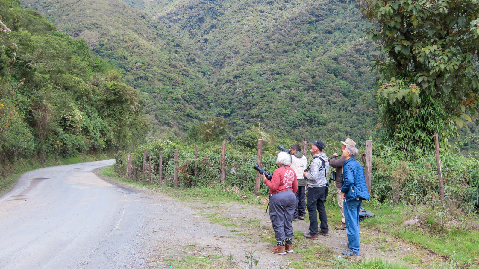 Birding Manu Road