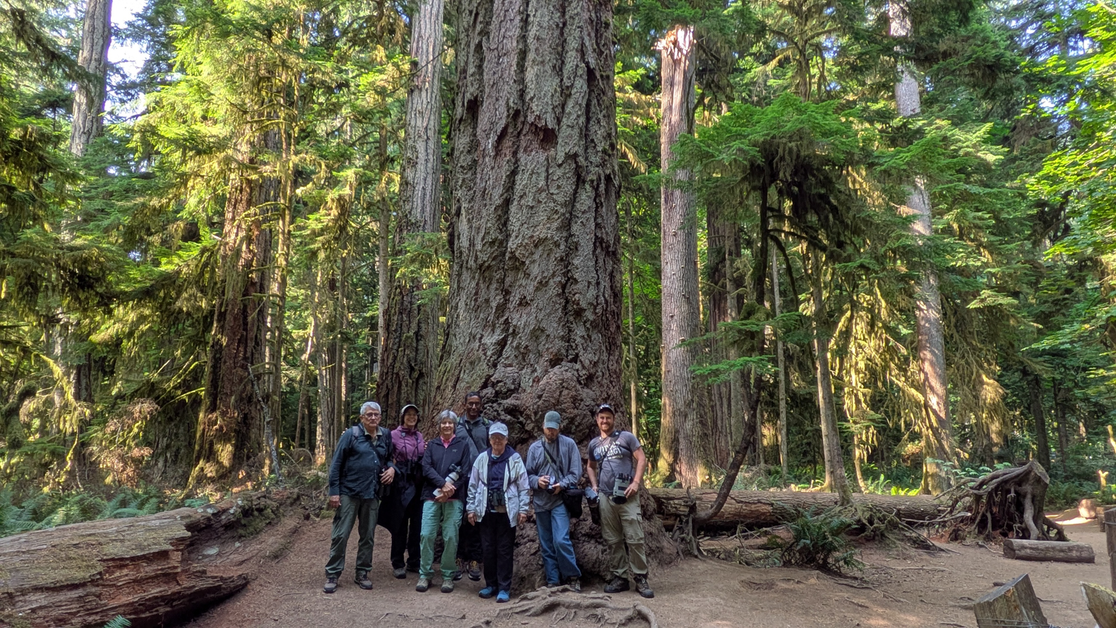 BC birding group