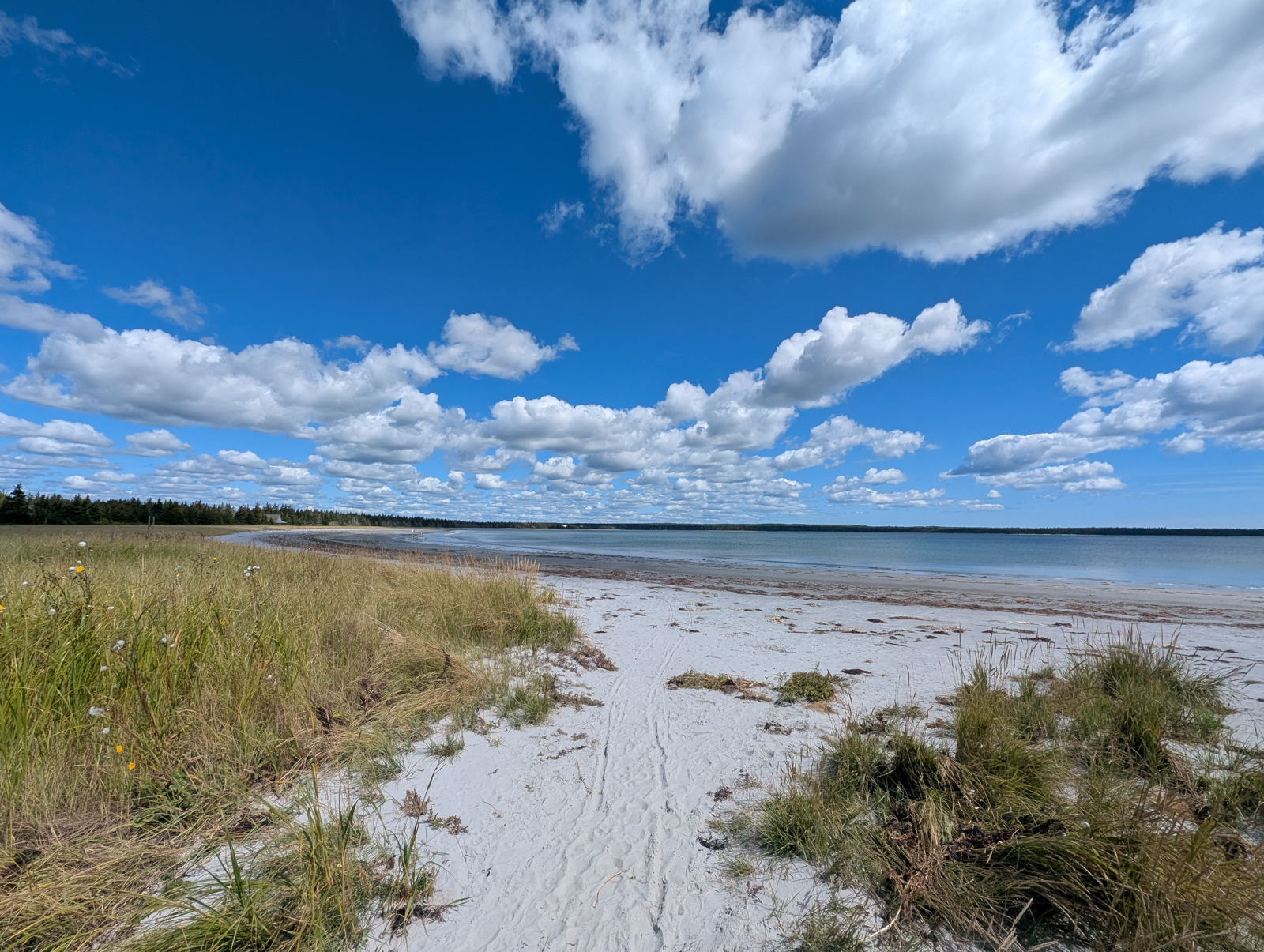 Louis Head Beach - Kyle d’Entremont
