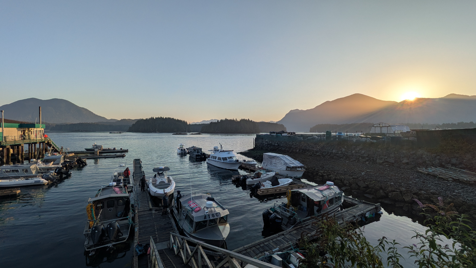 Tofino Harbour