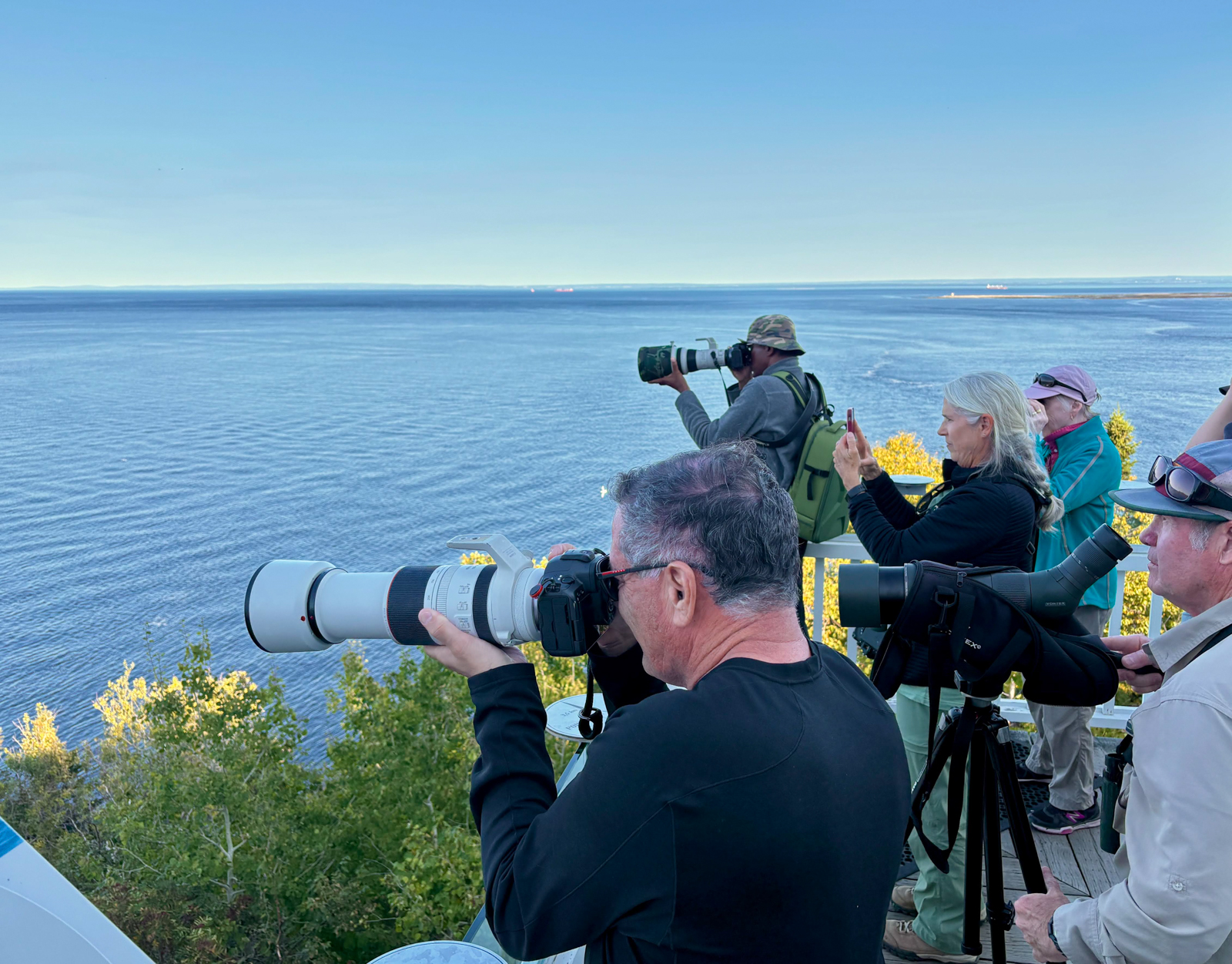 Whale spotting from Point Noire 