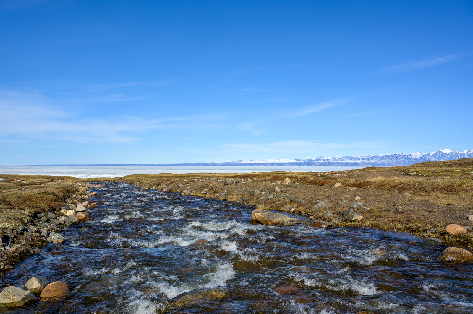 Salmon Creek