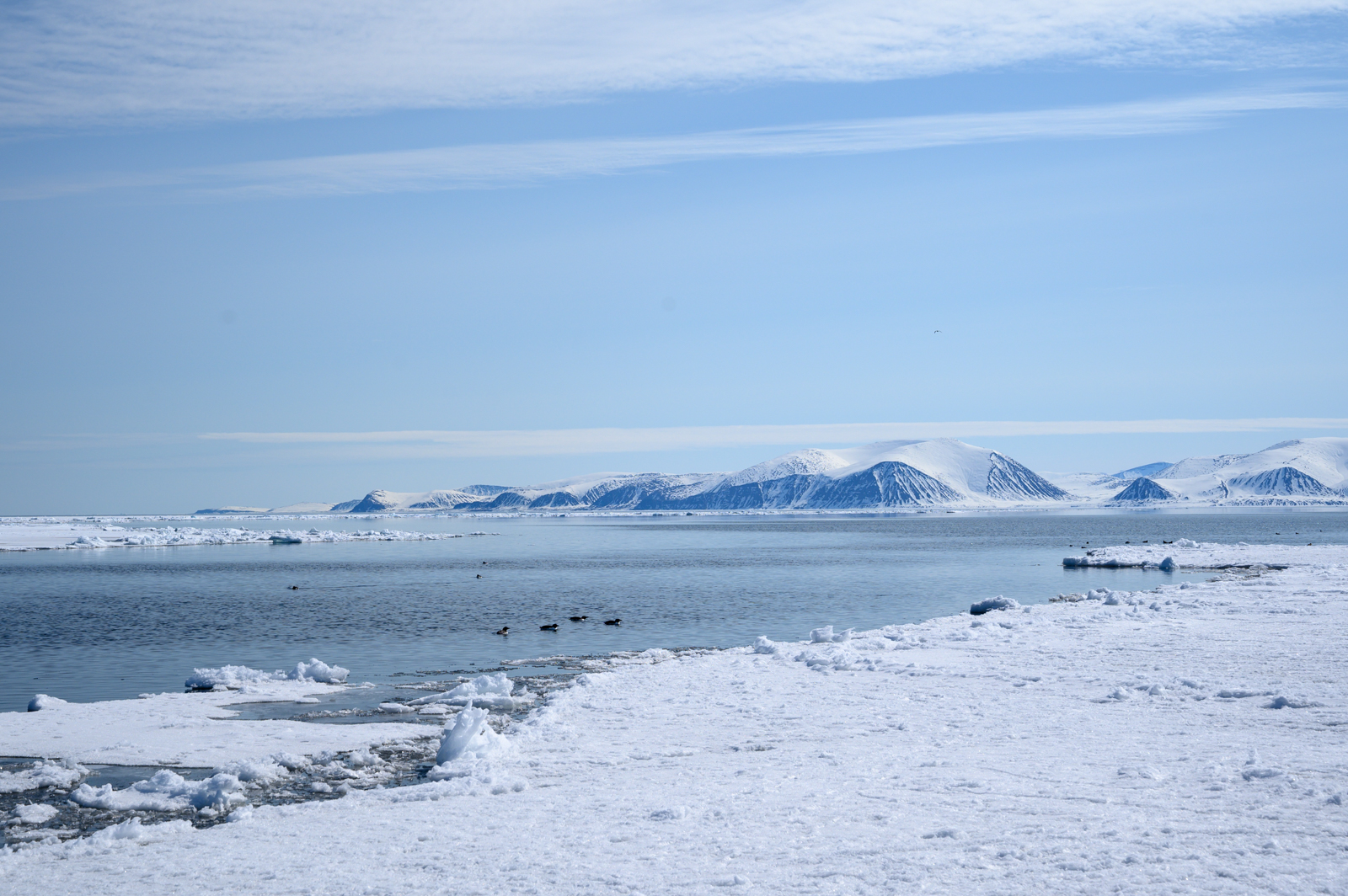 Floe edge