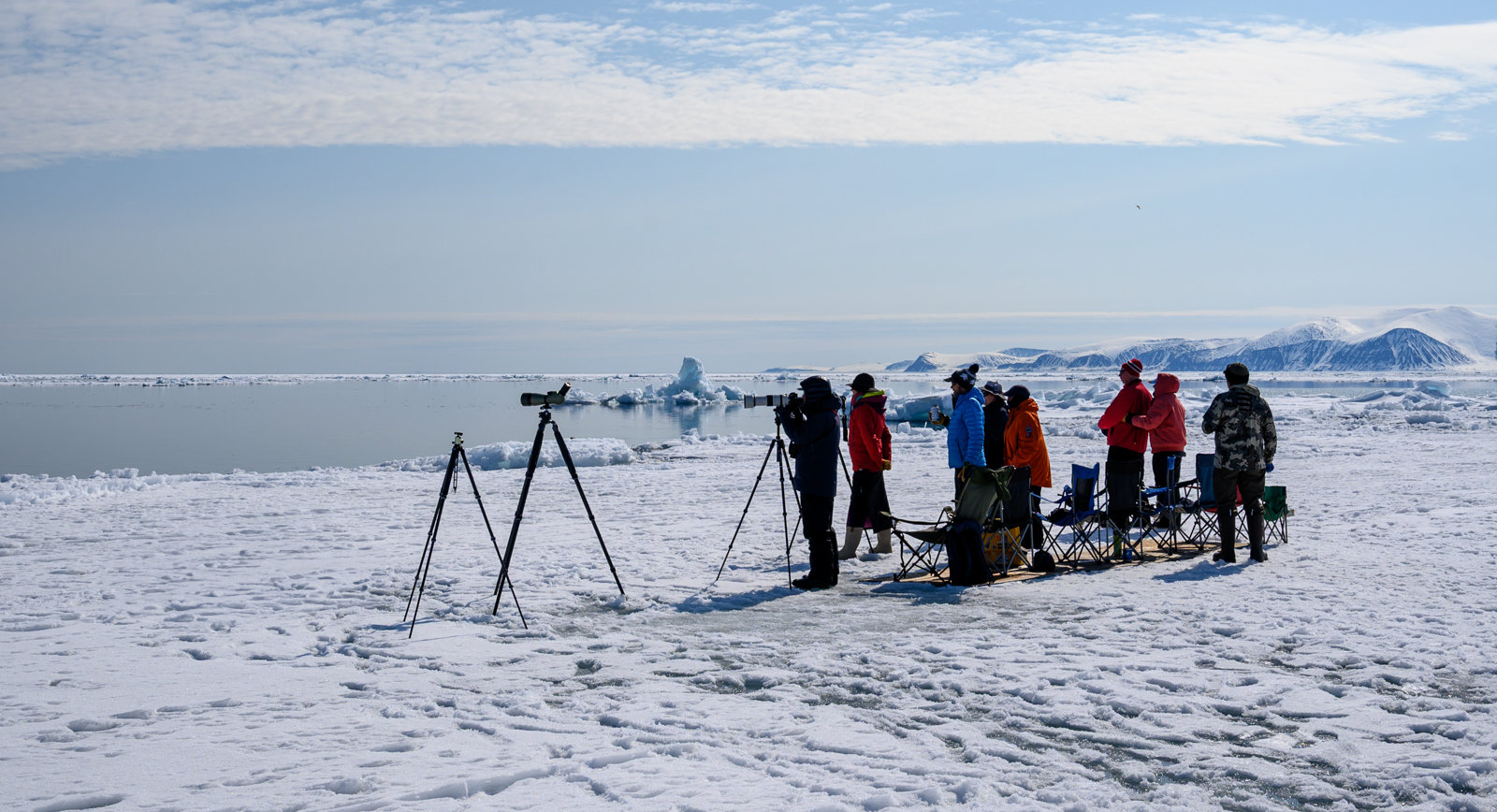 Floe Edge watching