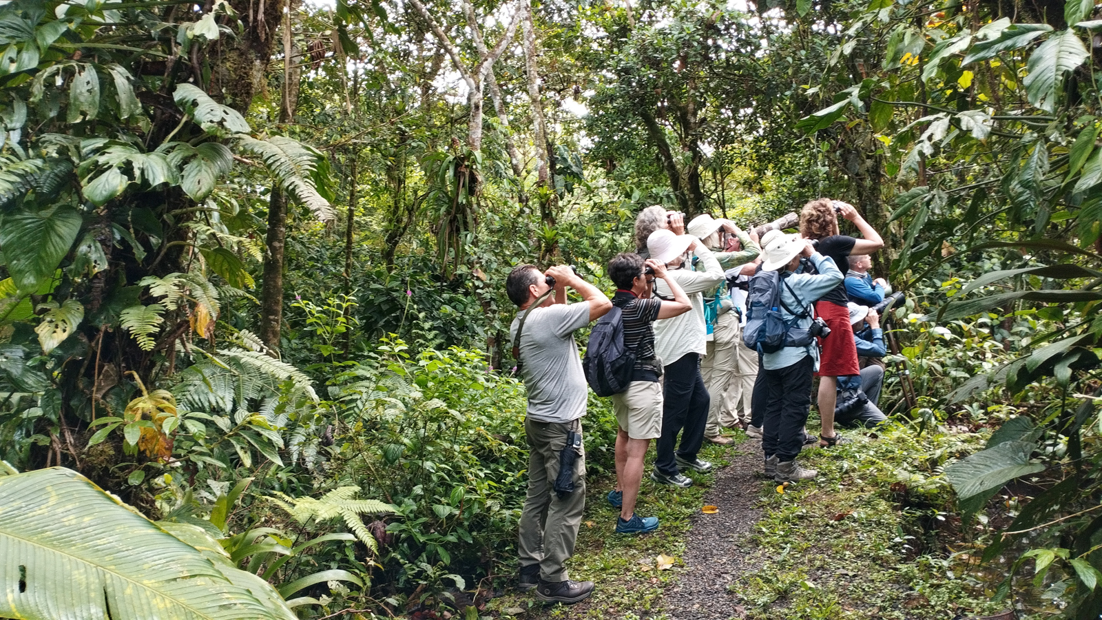 Birding at Las Brisas