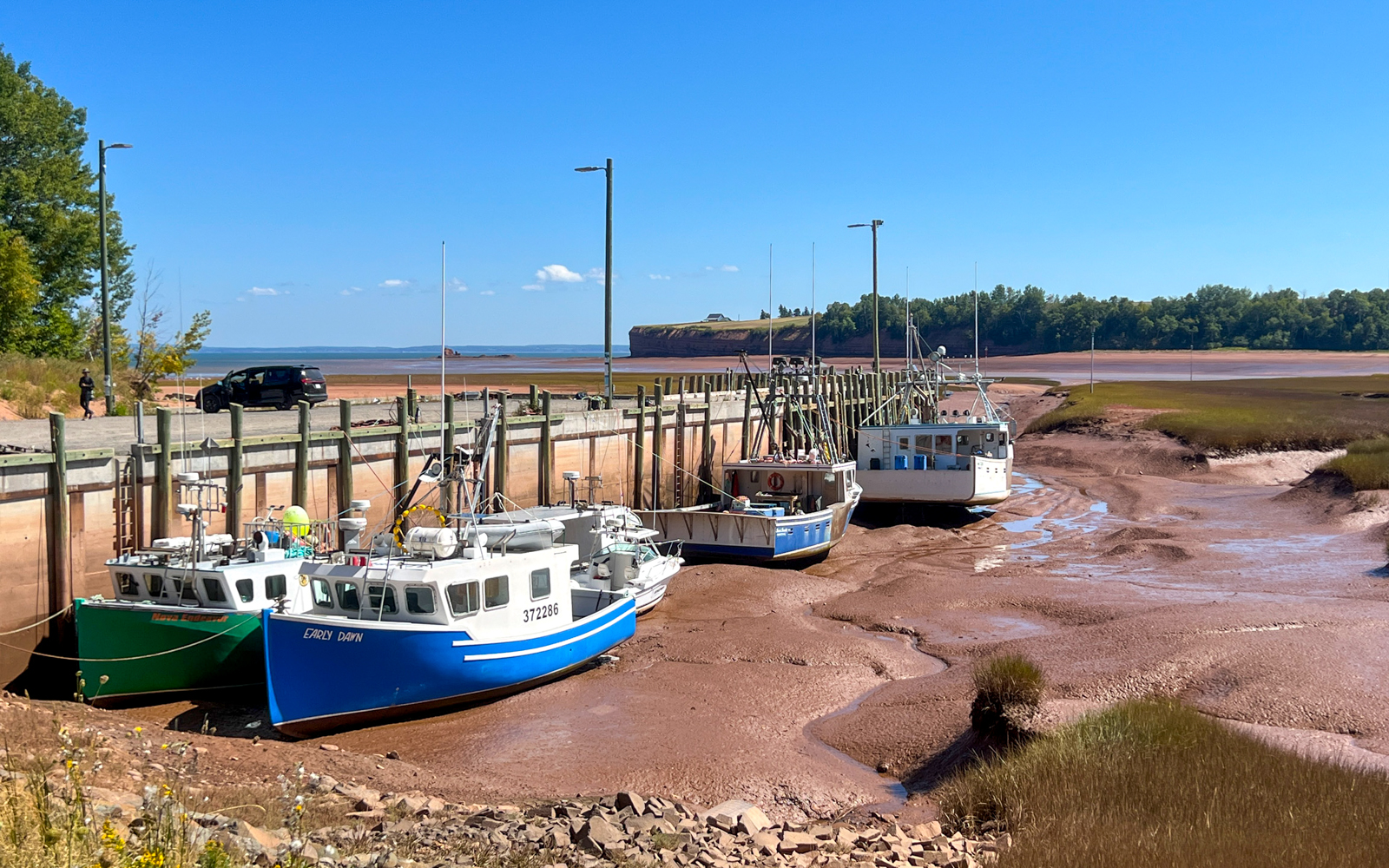Boats sitting on the mud at low tide in the Minas Basin