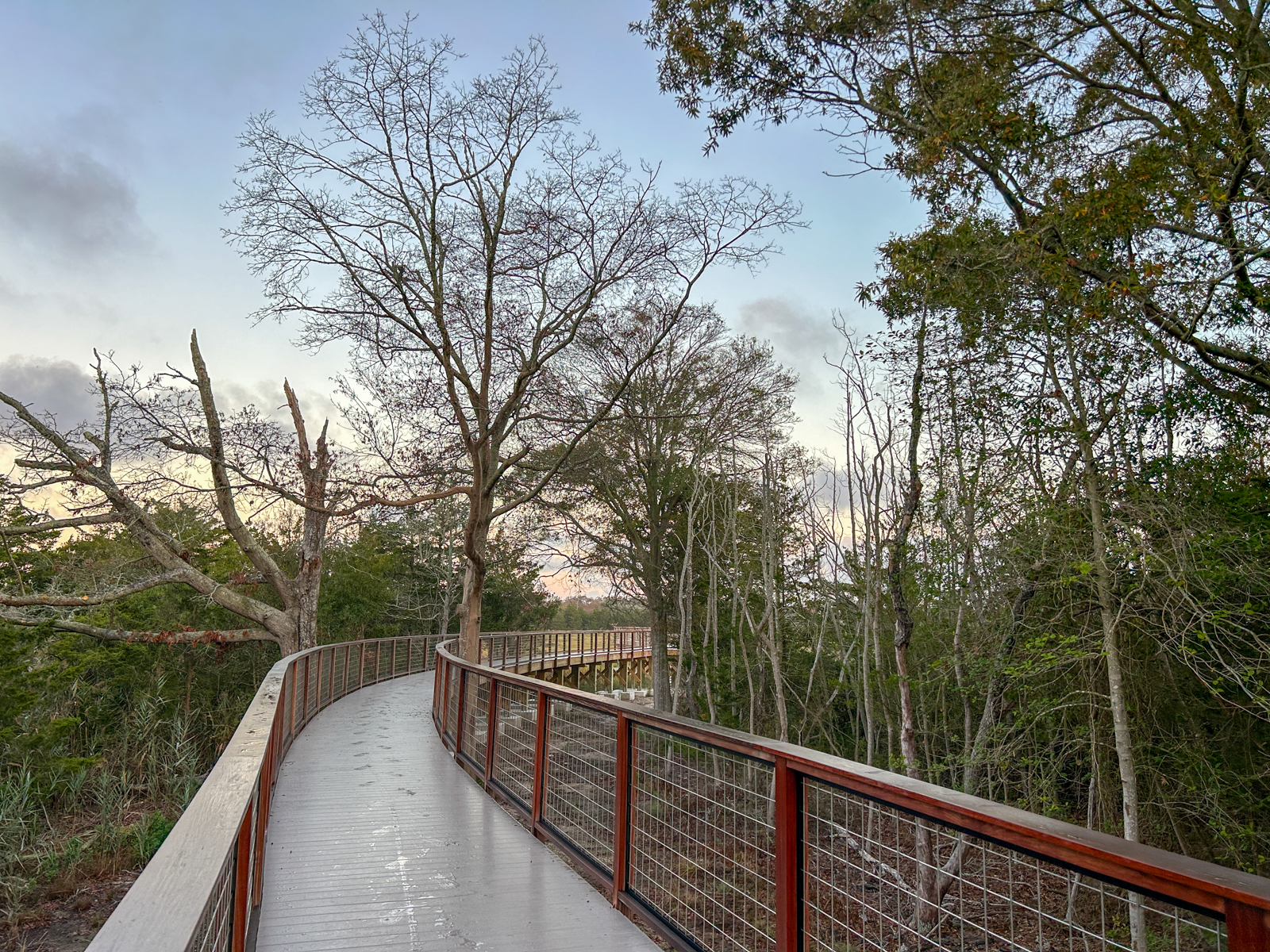 Cape May Nature Trails