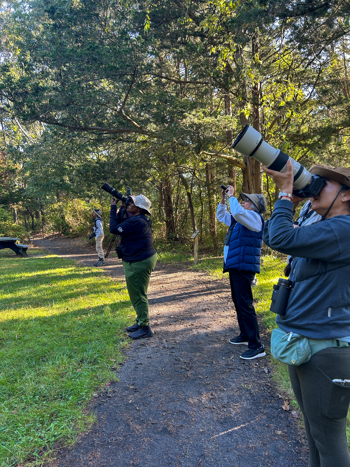 Birding at the Edwin B Forsythe NWR