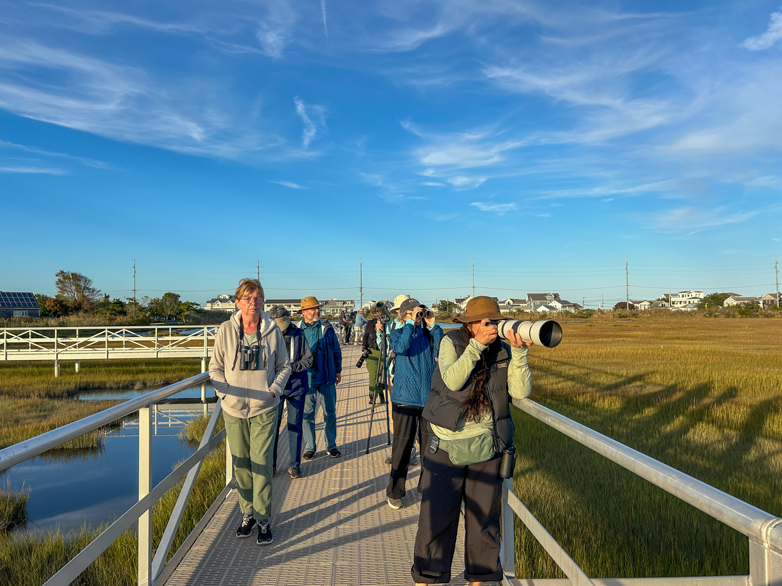 Group birding at the Wetlands Institute
