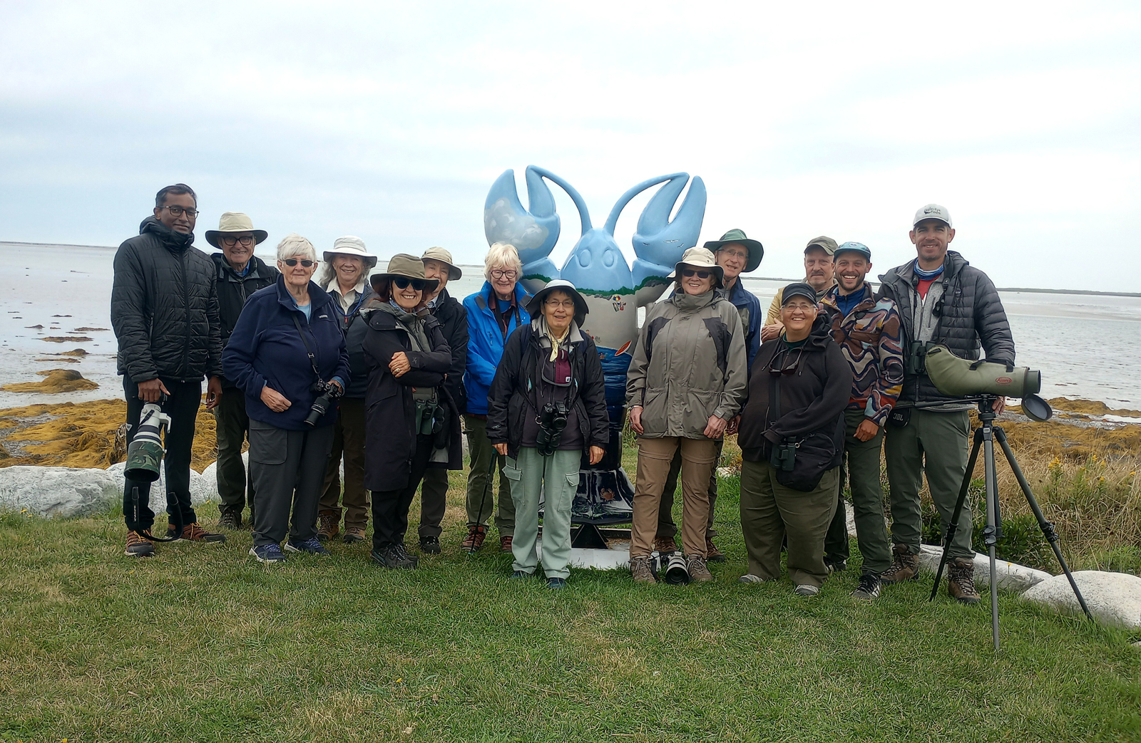 Nova Scotia birding group