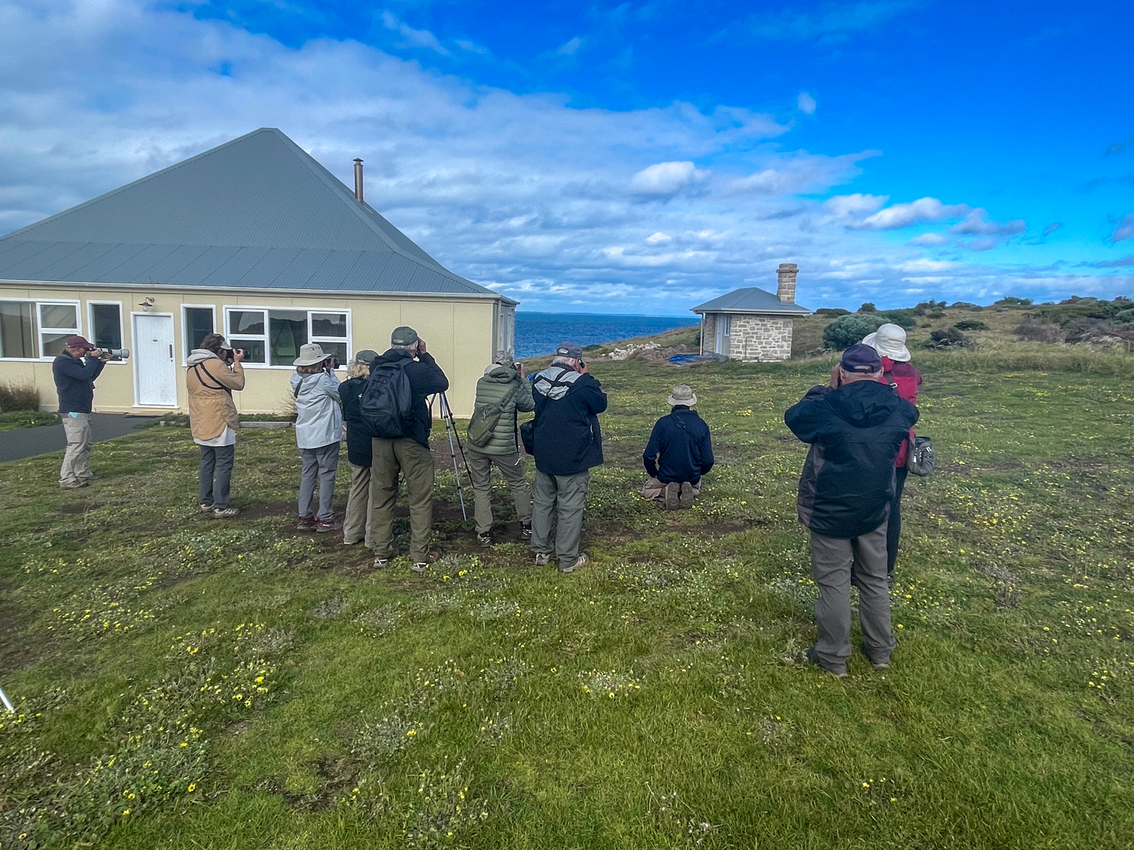 Birders looking at Rock Parrot