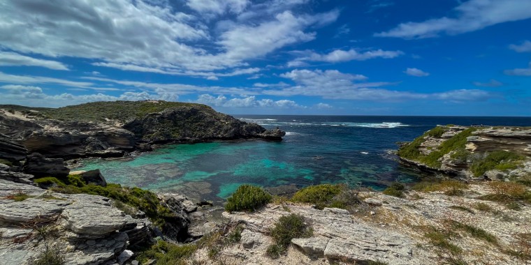 Western Australia Trip Report 2025