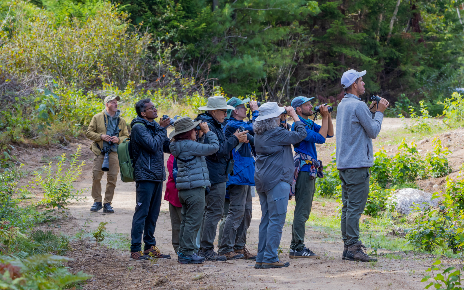 Bird watching in Nova Scotia