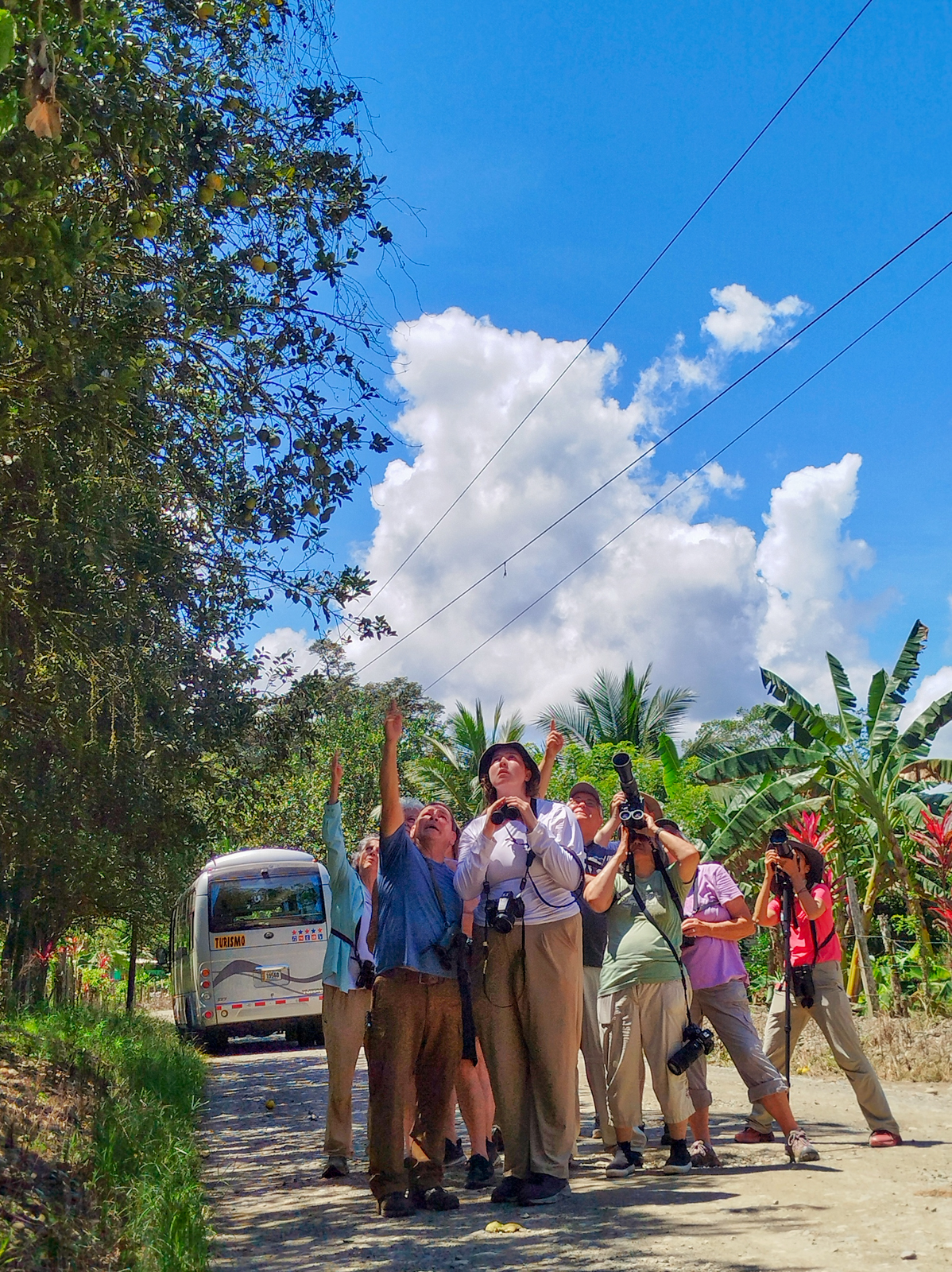 Watching raptor migration