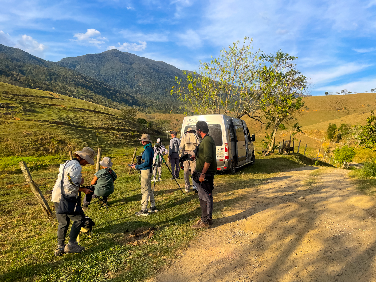 Firewood Gatherer Spot