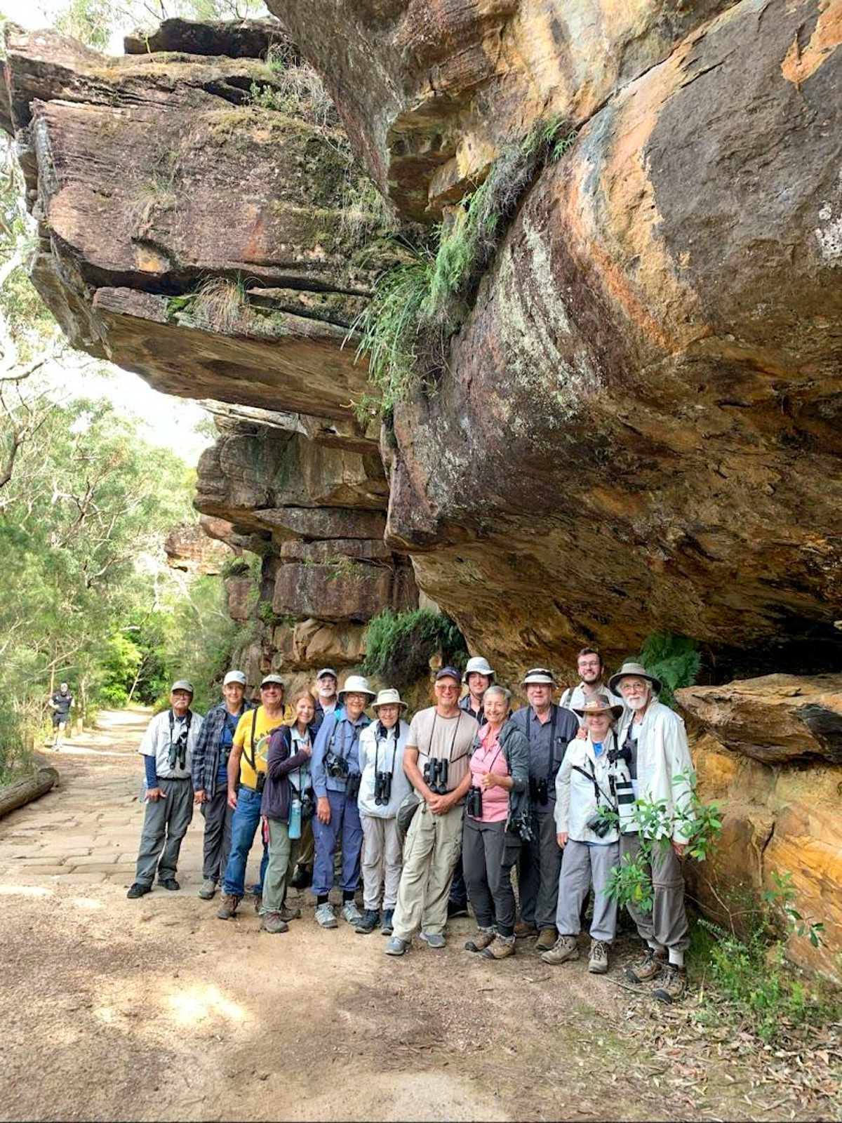 Eastern Australia birding group