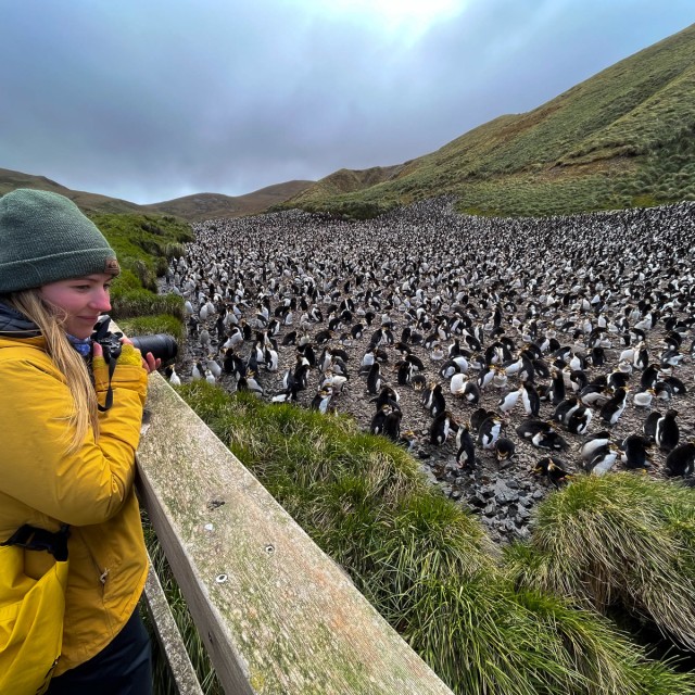 Macquarie Island