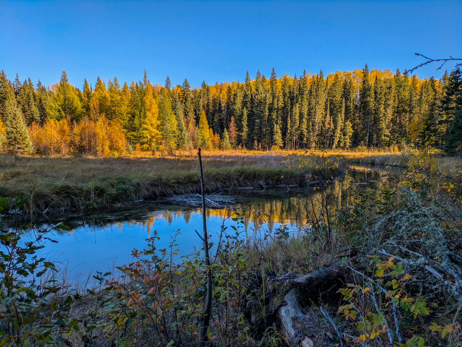Saskatchewan fall colours