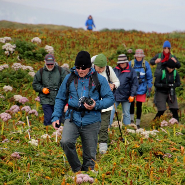 Subantarctic Islands