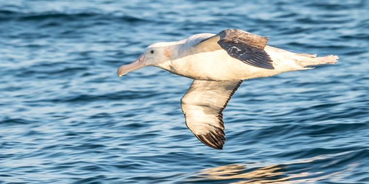 New Zealand Trip Report (Nov 10 - Dec 1, 2025)